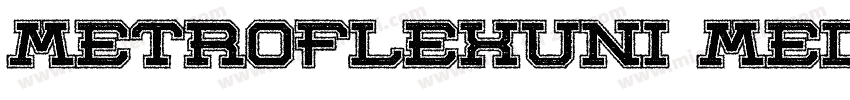 MetroflexUni MedOSF字体转换